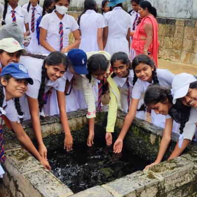 C215522a 3a0b 4c7e A9cf 5fce16a4b969